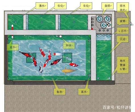 魚池設計圖